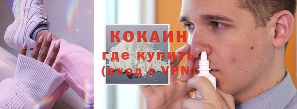 шишки Мегион