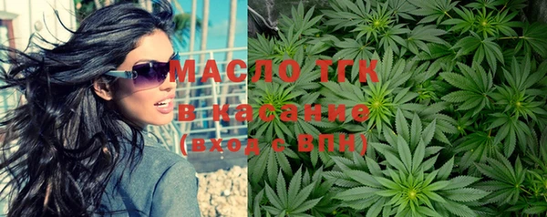 шишки Мегион